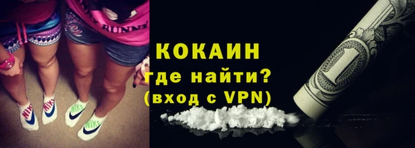 соль ск Абаза
