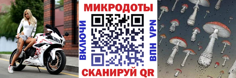 Псилоцибиновые грибы Psilocybe блэк спрут ссылки Иноземцево